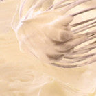 Crème Chantilly