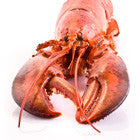 Homard